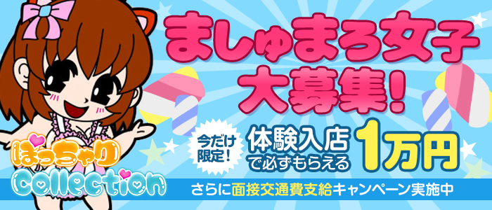 ぽっちゃりcollection