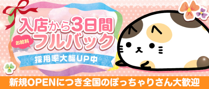 ぽっちゃり堂のぽっちゃり求人画像