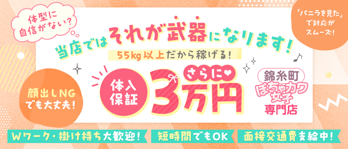 錦糸町ぽちゃカワ女子専門店の求人画像
