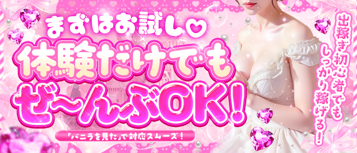 ぽちゃ姫の出稼ぎ求人画像