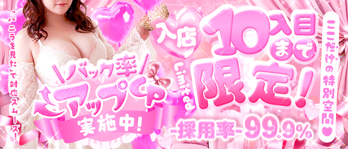 ぽちゃ姫の求人画像