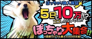 体系に自信がないから面接で断られるのか不安？のアイキャッチ画像