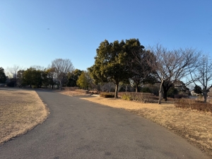 手がポカポカしましたのアイキャッチ画像