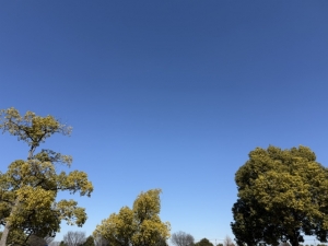 さすがに訪れを感じますのアイキャッチ画像