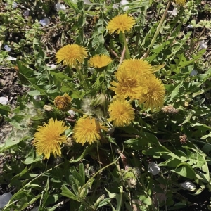 ええ天気です、えぇのアイキャッチ画像