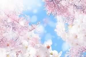 春休みの旅行や推し活でお金があると助かる・・・そんな方はぜひっ！！のアイキャッチ画像