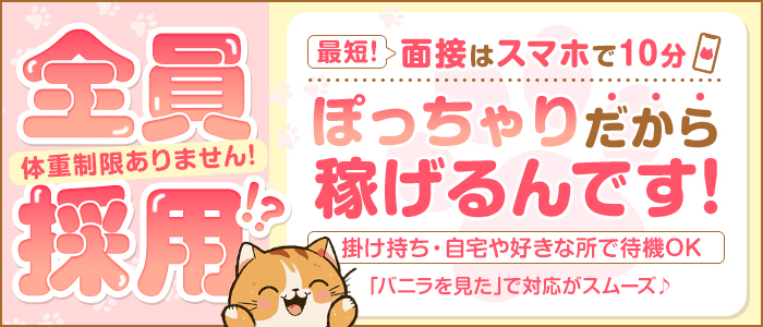 ぽちゃ猫三河店