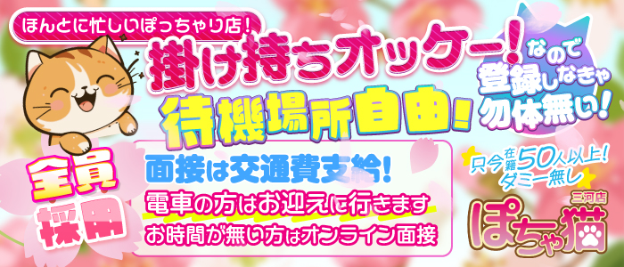 ぽちゃ猫三河店