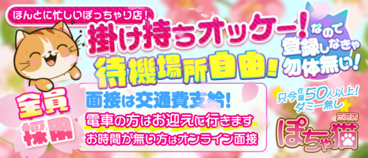 ぽちゃ猫三河店
