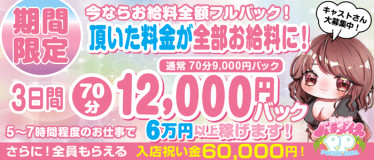 ぽっちゃりパラダイス(岐阜市・岐南)の求人情報