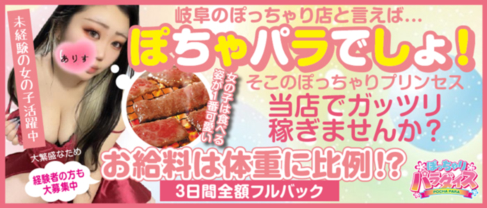 ぽっちゃりパラダイス