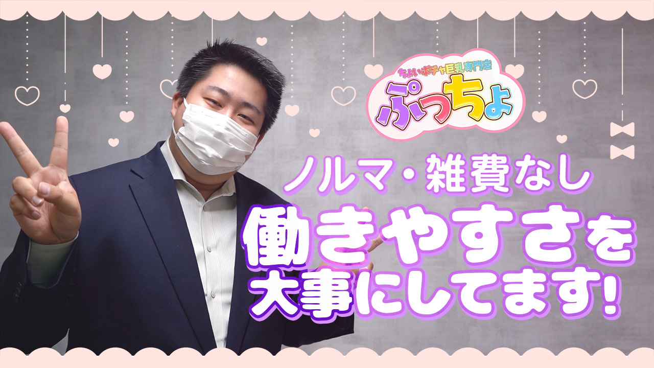 ちょいポチャ巨乳専門店（ぷっちょ）の求人動画