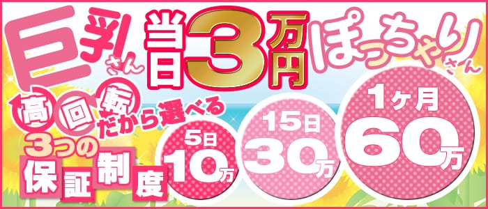 ぽちゃカワ女子