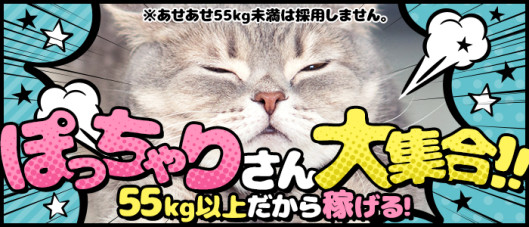 ぽちゃカワ女子