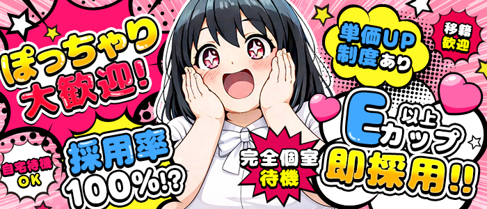 ぽっちゃりヴィーナスの求人画像