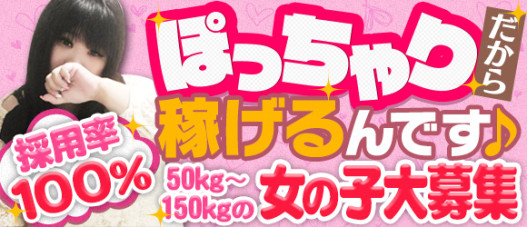 ぽっちゃりヴィーナスの求人情報