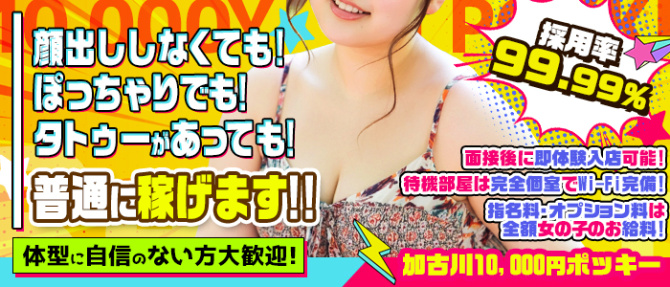 加古川10,000円ポッキーのぽっちゃり求人画像