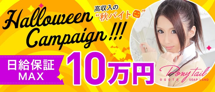 ポニーテール雄琴