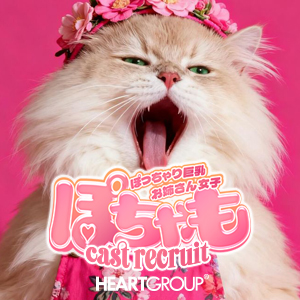 猫🐱🐱のアイキャッチ画像