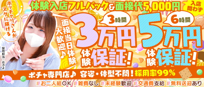 いちゃぷよ ポッチャDOLL 静岡東部店