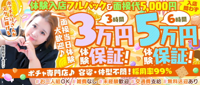 ぽちゃカワ革命！！いちゃぷよ★ポッチャdoll［中部店］