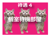 ピンキープリンセスで働くメリット4