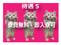 ピンキープリンセスで働くメリット5