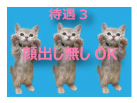 ピンキープリンセスで働くメリット3