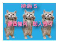 ピンキープリンセスで働くメリット5