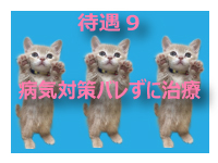 ピンキープリンセスで働くメリット9