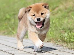 辞めていった女の子たちへのアイキャッチ画像