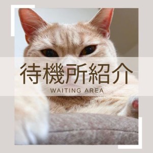 Diary自慢の待機所です！！のアイキャッチ画像