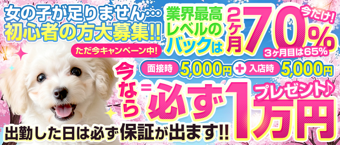 ダック京都