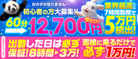 ダック京都