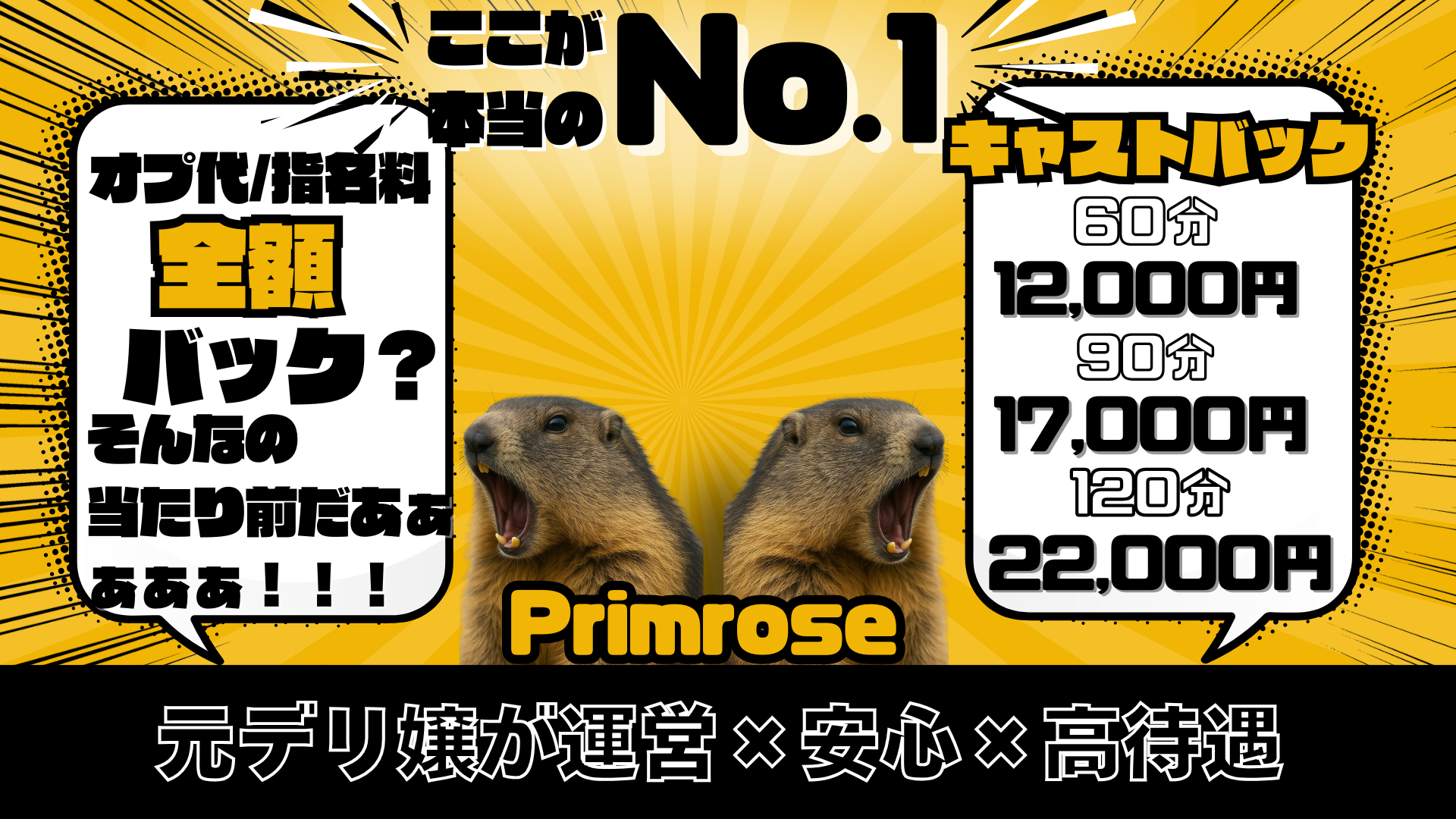 PrimRoseの求人画像