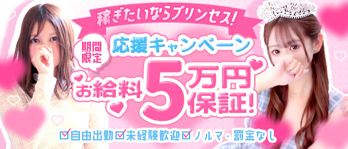 ﾌﾟﾘﾝｾｽｾﾚｸｼｮﾝ姫路店（ｱｲﾝｽﾞｸﾞﾙｰﾌﾟ）の求人画像