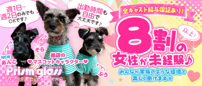 プリズムグラスのぽっちゃり求人画像