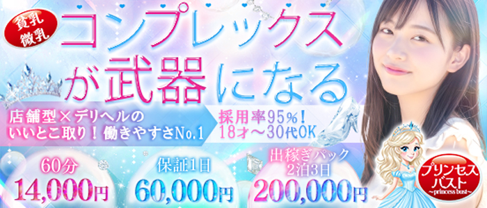 貧乳・微乳プリンセスバストの求人画像