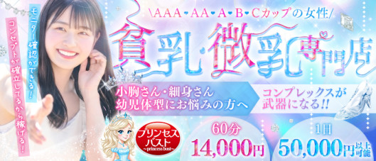 貧乳・微乳専門店プリンセスバスト