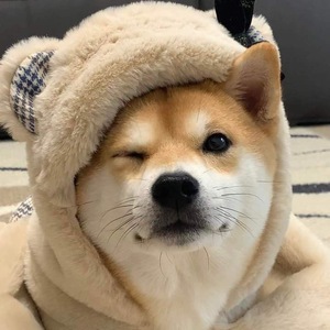面接時に重視していること（＾&omega;＾）のアイキャッチ画像