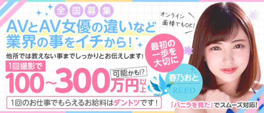 AVプロダクション REED(リード)