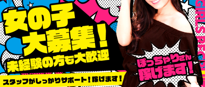 パンチ入野の風俗案内所のぽっちゃり求人画像