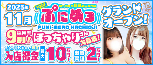 ぽっちゃり巨乳素人専門ぷにめろ八王子