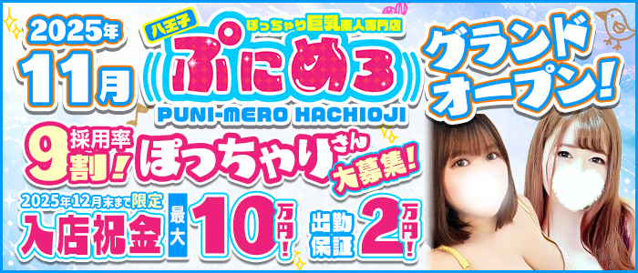 ぽっちゃり巨乳素人専門ぷにめろ八王子の未経験求人画像