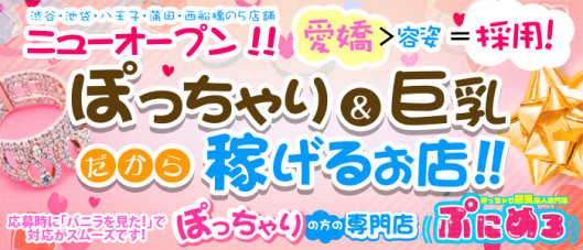 ぽっちゃり巨乳素人専門ぷにめろ八王子