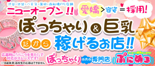 ぽっちゃり巨乳素人専門店ぷにめろ池袋