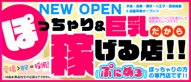 ぽっちゃり巨乳素人専門店ぷにめろ蒲田のぽっちゃり求人画像