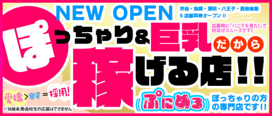 ぽっちゃり巨乳素人専門店ぷにめろ蒲田