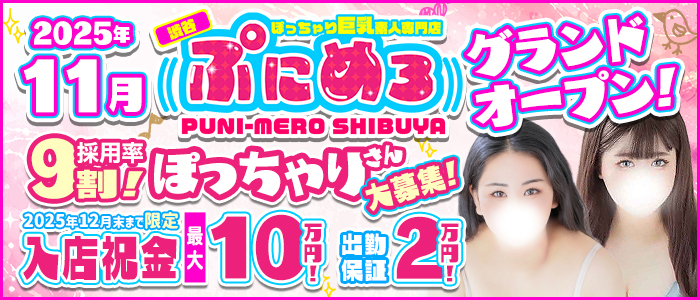 ぽっちゃり巨乳素人専門店ぷにめろ渋谷の求人画像