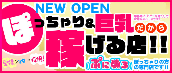 ぽっちゃり巨乳素人専門店 ぷにめろ立川店の求人画像